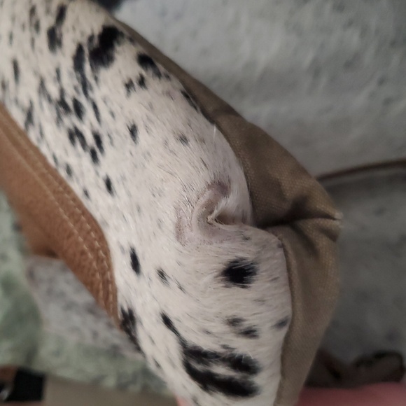 Crossbody cowhide Myra bag - Picture 5 of 6